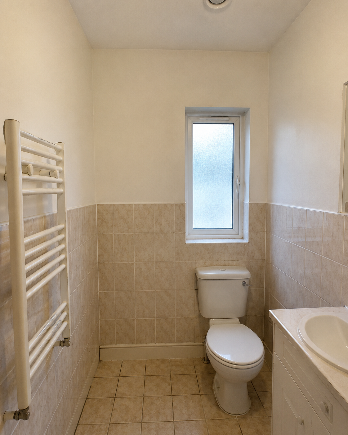Before bathroom renovation